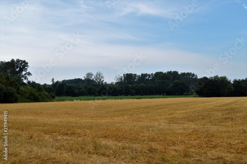 Stoppelfeld am linken Niederrhein  Kleinenbroich Pesch  Juli 2018