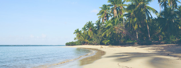 Fototapete Karibik Grüne Palmen am karibischen Strand.  © Swetlana Wall
