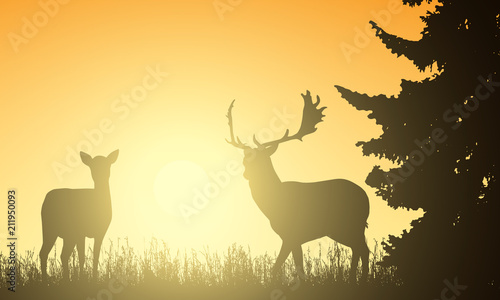 Obraz na plátne Deer and hind in a meadow with a tree, with the rising sun behind the background