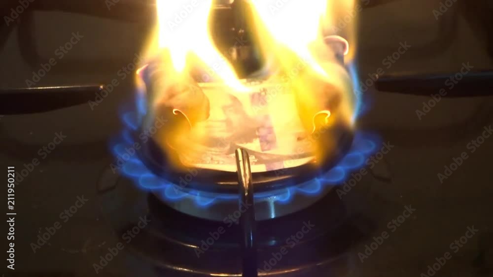 Burns out paper money - the dollar bill burned on fire Burns out paper money - the dollar bill burned on fire