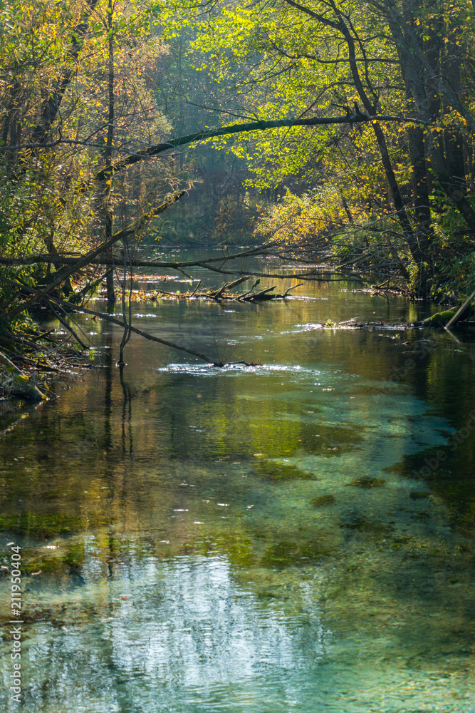 Autumn landscape with river in the forest. Green and orange foliage on daylight. Scenic background. Transparent clean water. Autumn landscape with river in the forest. Green and orange foliage on daylight. Scenic background. Transparent clean water.