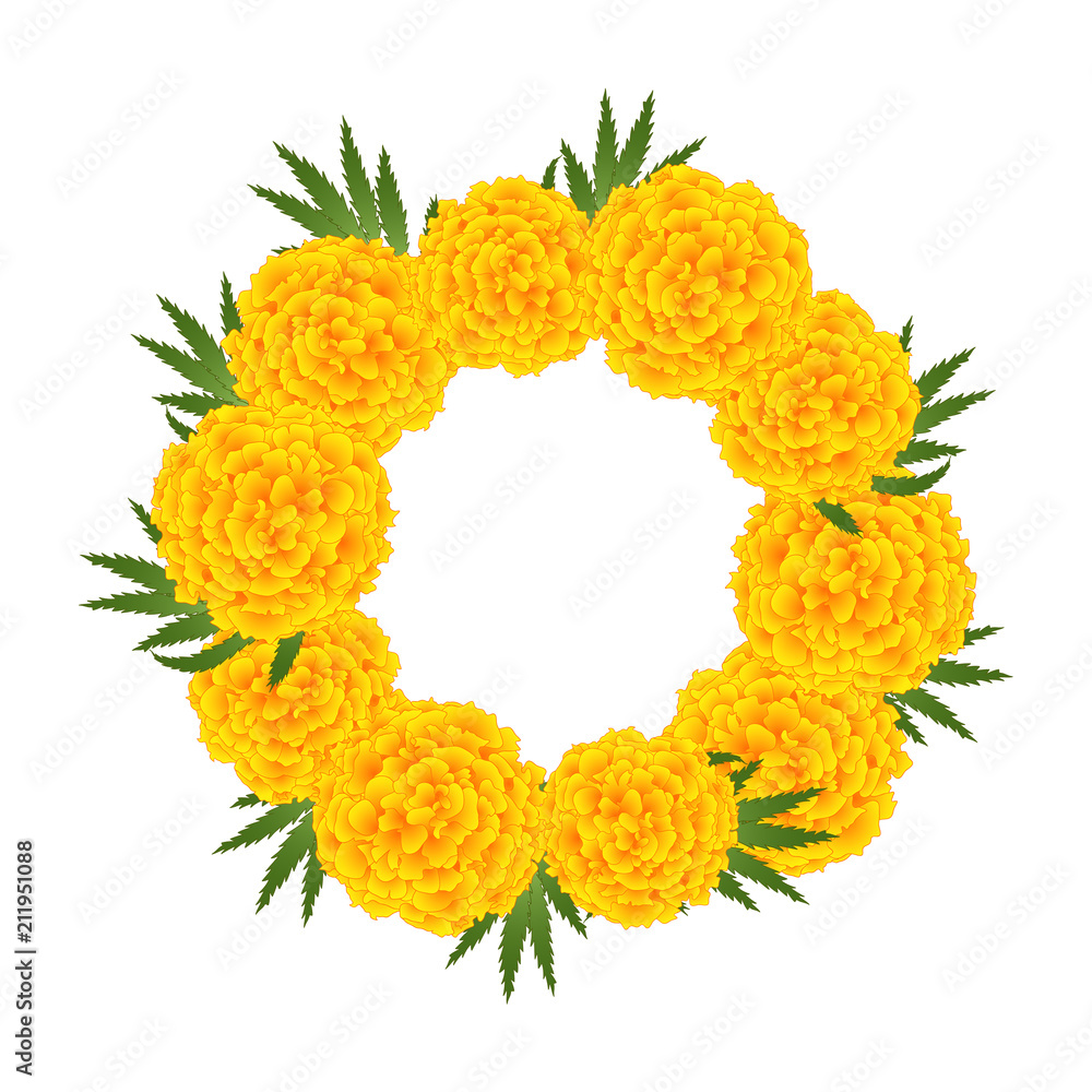 Obraz premium Marigold Flower - Tagetes Wreath