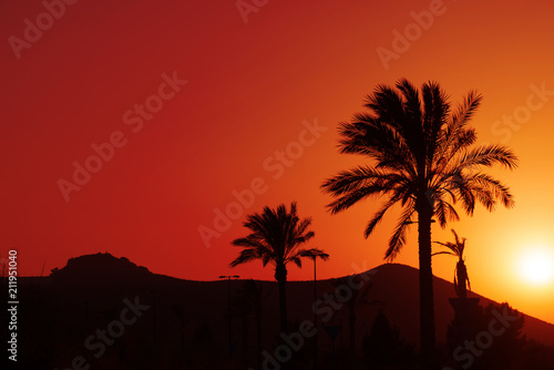 Orange Andalusian sunset with silhouette palm trees