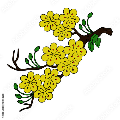 Yellow Apricot Flower cartoon illustration isolated on white background for children color book