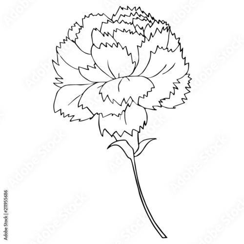 Flower cartoon illustration isolated on white background for children color book