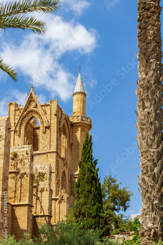 Medieval Cathedral of St Nicholas (Lala Mustafa Pasha Mosque) behind palm trees