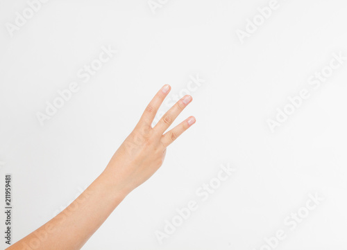 hand two palm up. handbreadth isolated on a white background. Front view. Mock up. Copy space. Template. Blank.