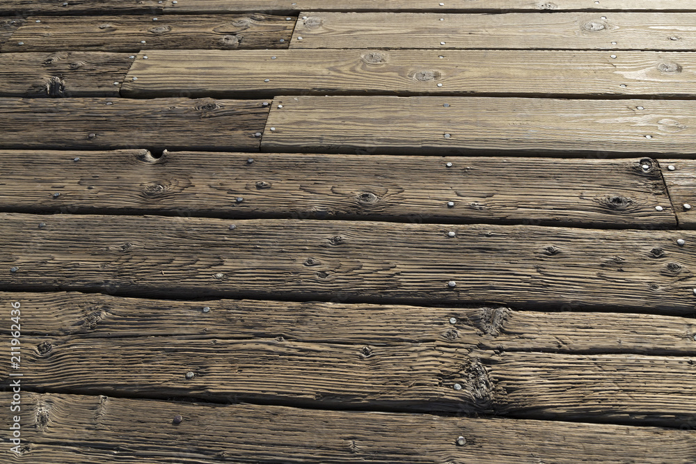 The Textures of the Wood The Textures of the Wood