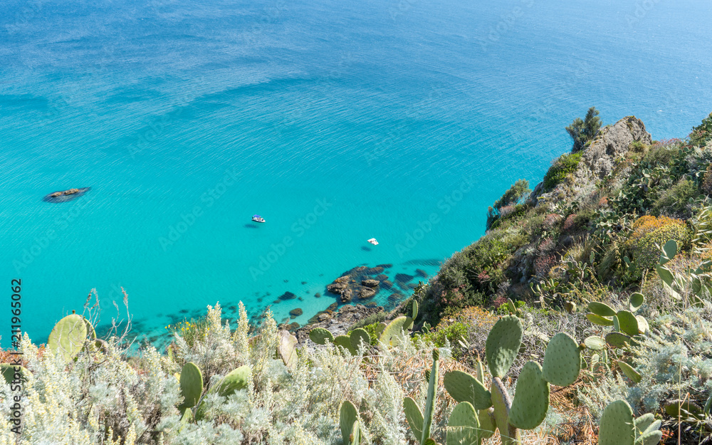 Mediterranean maquis, plants and sea in Calabria, Italy - obrazy, fototapety, plakaty 