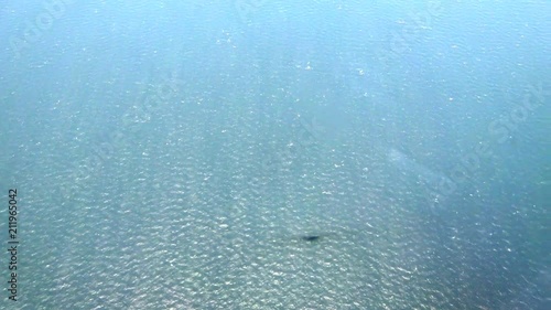 Shadow of airplane on the water of the Bosphorus photo