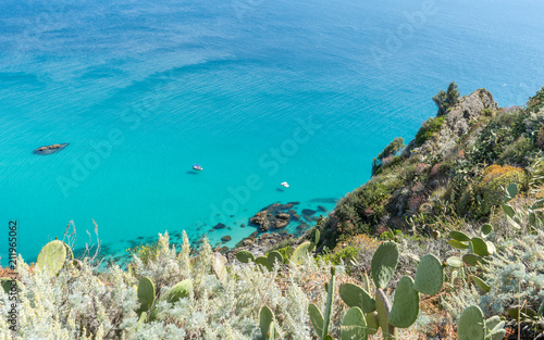 Fototapeta Naklejka Na Ścianę i Meble -  Mediterranean maquis, plants and sea in Calabria, Italy