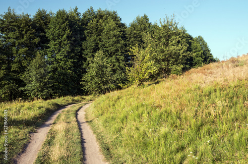 A dirt road between the hill and the forest. Summer landscape.