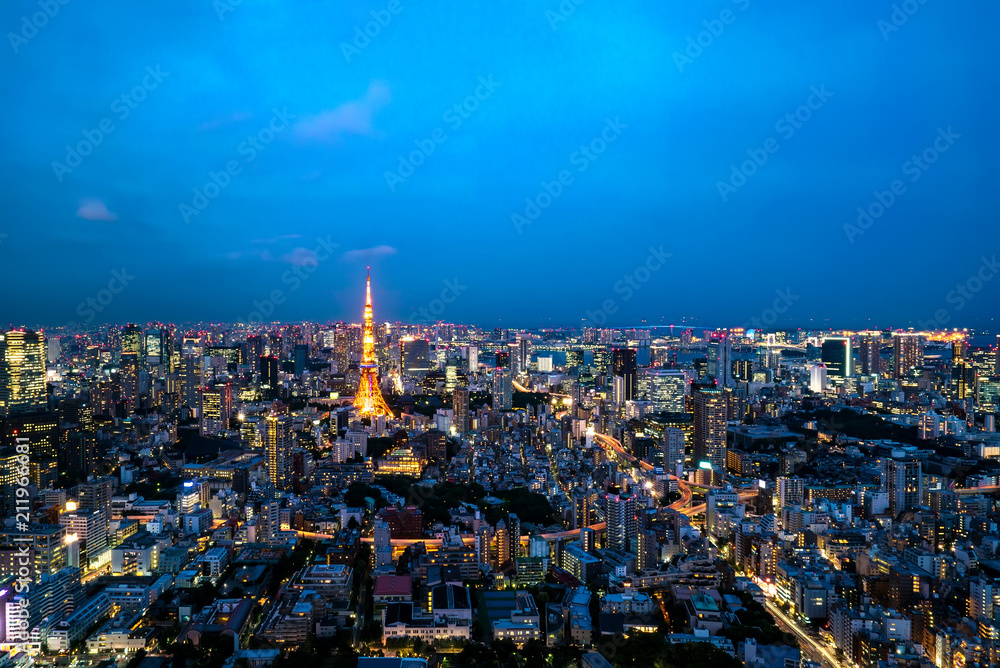 Fototapeta premium TOKYO, JAPAN - June 21, 2018: Tokyo Tower is the world's tallest, self-supported steel tower in Tokyo, Japan