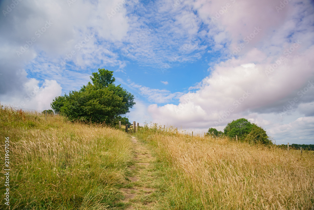 Beautiful country side view around Chichester