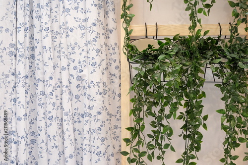 Decorative landscaping for the room. The curtains at the window. Green artificial vine on the background of the wall.