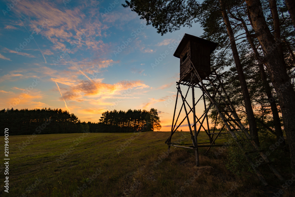 Deer stand (tree stand) beside field and forest at sunset light, Czech republic