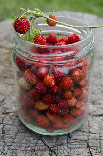 Wallpaper Mural Ripe forest strawberries on rough wooden surface Torontodigital.ca