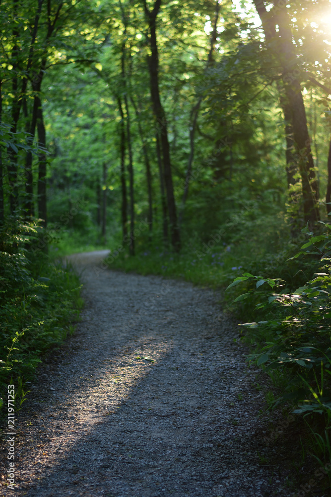 Fototapeta premium Afternoon Hike