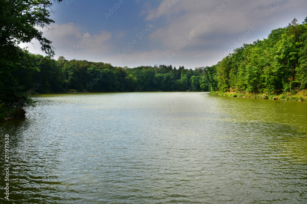 Fototapeta premium Summer lake surrounded by the forest. Czech.