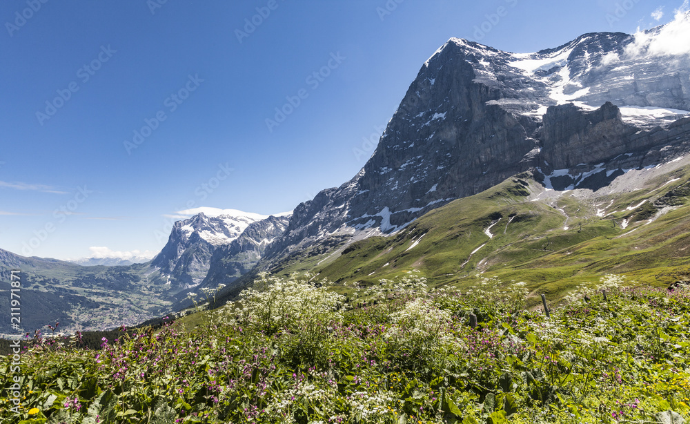 spectacular view on Eiger north face, Grindelwald,Jungfrauregion, alps Switzerland