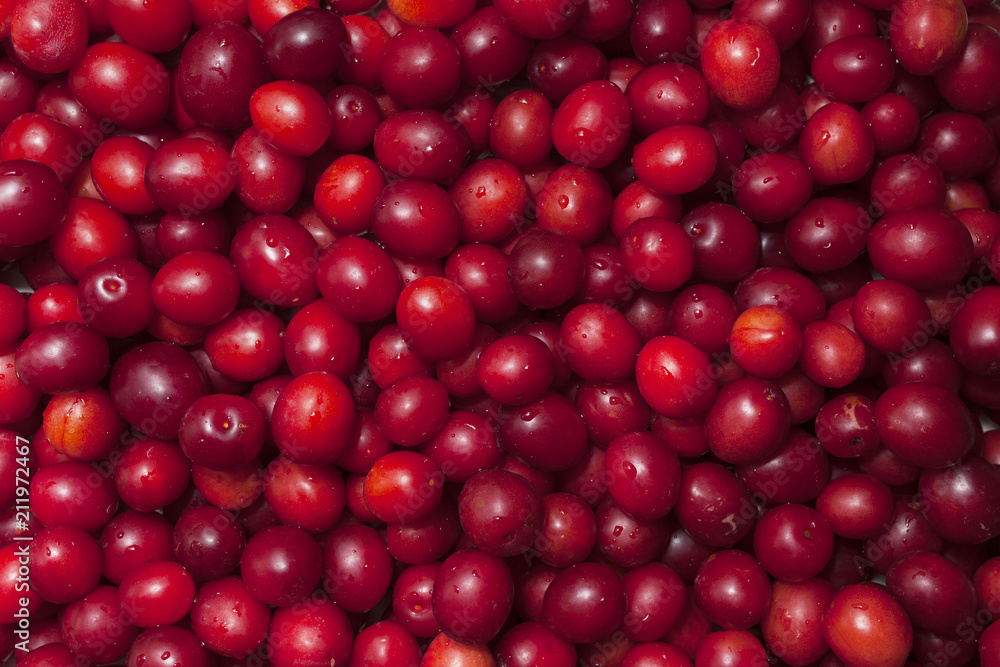 top view of red ripe small plums. plums are covered with water drops top view of red ripe small plums. plums are covered with water drops