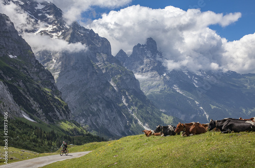 nice and ever young senior woman riding her e-mountainbike below the Eiger northface, Jungfrauregion, Switzerland