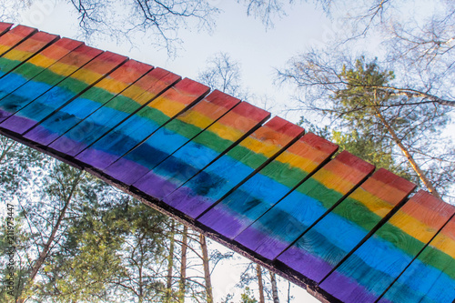 Wooden rainbow in forest