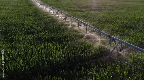 Aerial Flyover of Pivot Irragition on Corn Field