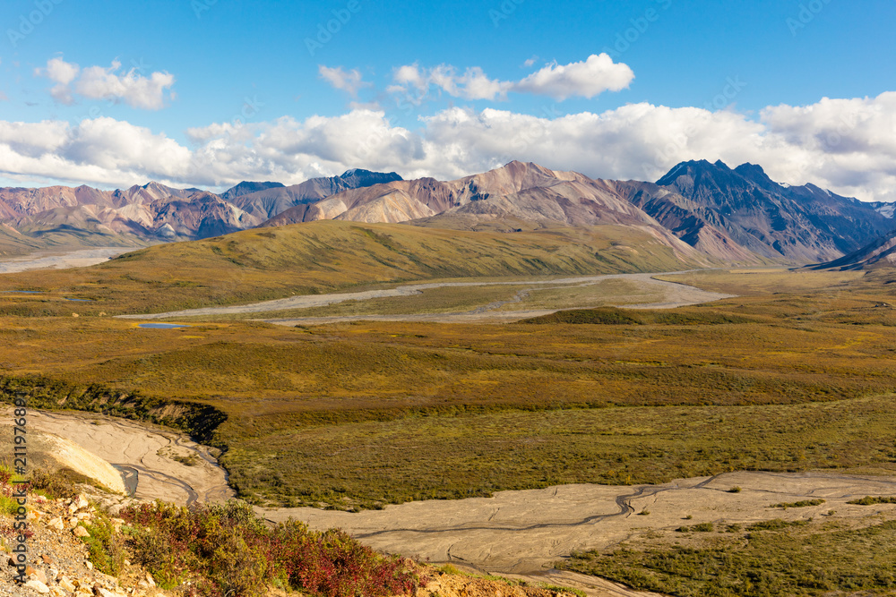 Scenic Denali National Park Alaska Landscape Scenic Denali National Park Alaska Landscape
