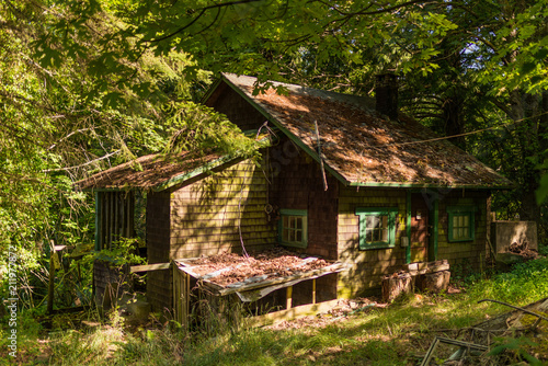 Abandoned Cottage in the Woods © jon