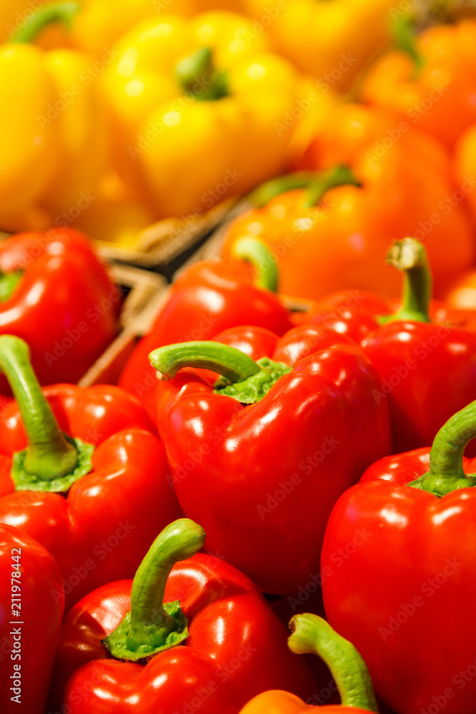 Colourful mix of different red, orange, yellow fresh bell pepper at market