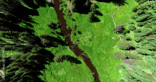 Mountain Stream in Meadow from Above