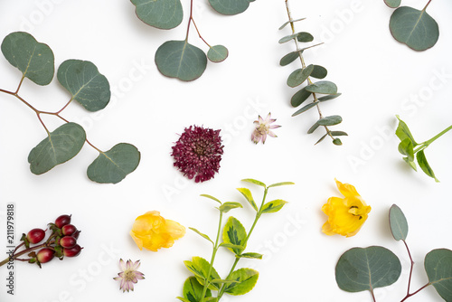 Eucaclyptus and blooms Flat Lay photo