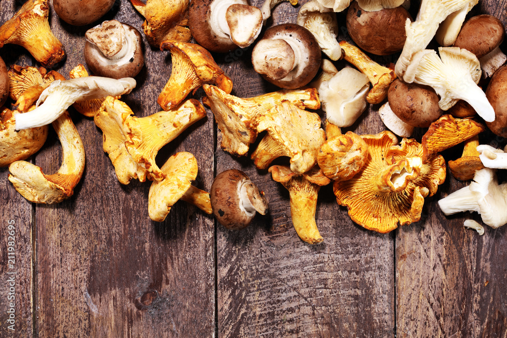 variety of raw mushrooms on grey table. oyster and other fresh mushrooms variety of raw mushrooms on grey table. oyster and other fresh mushrooms