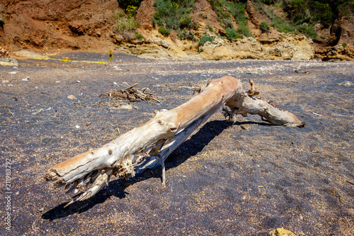 Acquarilli beach in Capoliveri, on the Island of Elba.
A piece of drift wood lying on the beach on an early morning at the island of corsica. photo