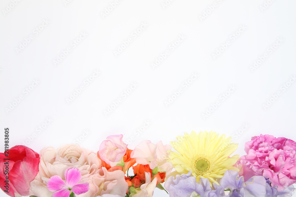 様々な花の背景画像 Stock Photo Adobe Stock 様々な花の背景画像 Stock Photo Adobe Stock