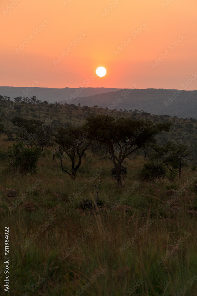 Sonnenuntergang, Marakele, Nylstroom, Limpopo, Südafrika, Afrika