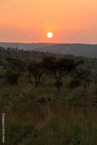 Sonnenuntergang  Marakele  Nylstroom  Limpopo  S  dafrika  Afrika