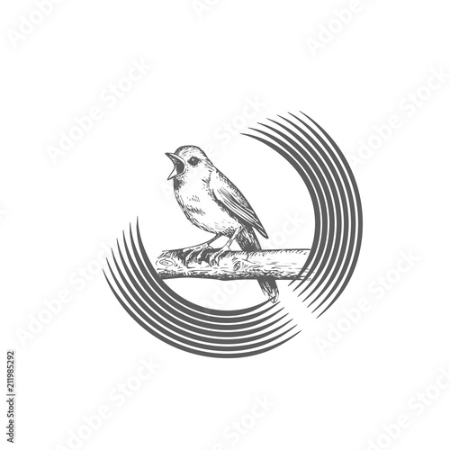 Sings and chirps bird, sits on circular and round branch, logo template. Animals and wildlife, vector design. Nature illustration