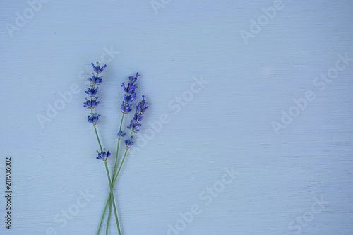 Fototapeta Naklejka Na Ścianę i Meble -  Fresh lavender flowers on blue wood table background free space