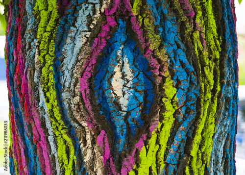 colored bark of wooden texture