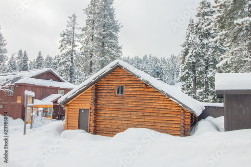 Winter Cabin © Annora