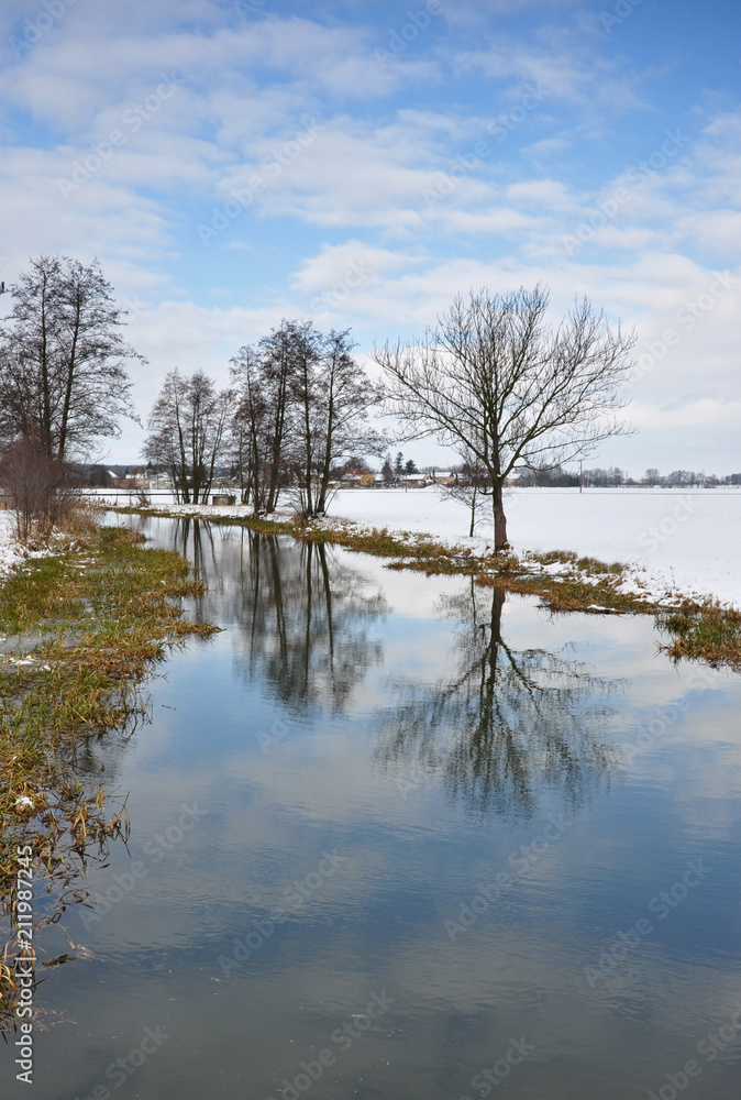 A winter snowy landscape with a river in which trees without leaves are mirrored. A winter snowy landscape with a river in which trees without leaves are mirrored.