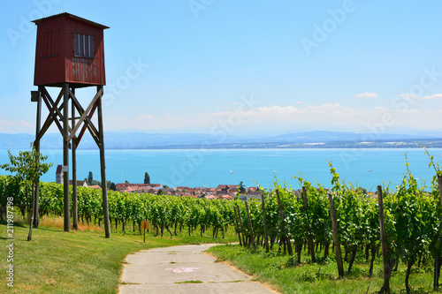 Hochstand vor Weinbergen über Hagnau am Bodensee
