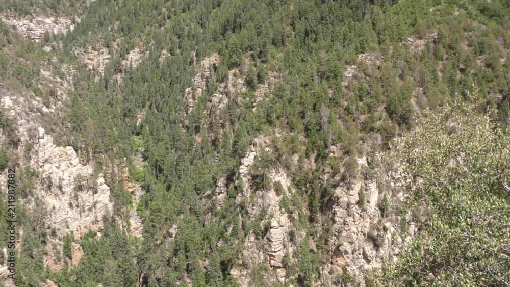 Arizona, Oak Creek Canyon, A zoom in on rock formations in the Oak Creek Canyon Arizona, Oak Creek Canyon, A zoom in on rock formations in the Oak Creek Canyon