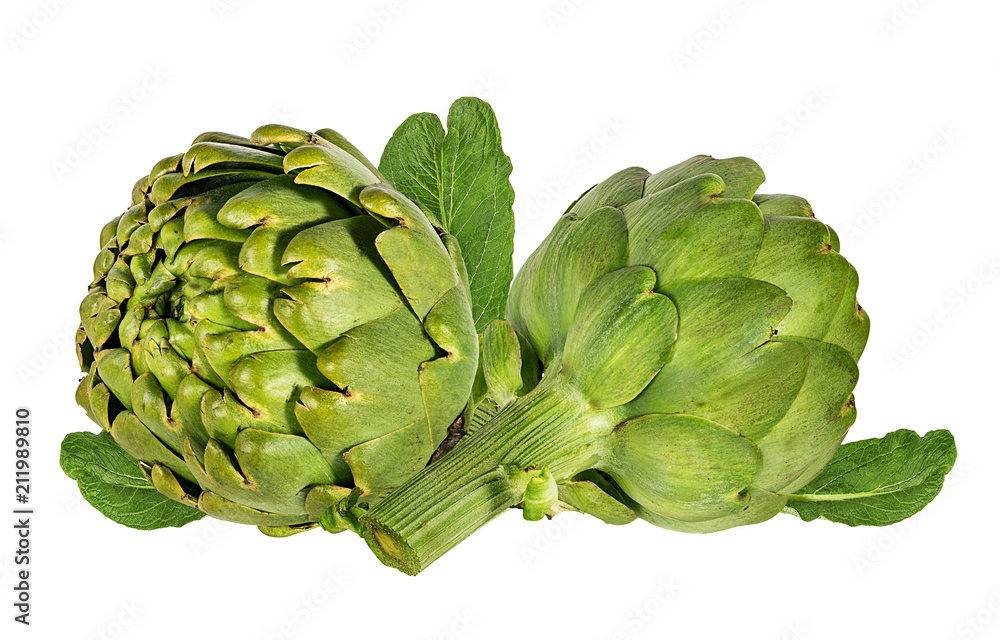 Fototapeta premium Fresh artichoke isolated on white background with clipping path