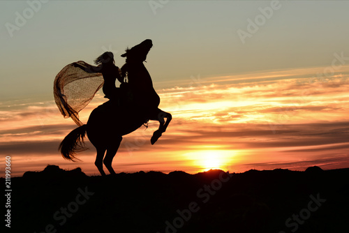 Obraz na plátně Rearing up horse, queen rider with mantle riding a horse stallion to fantasy clouds on sunset