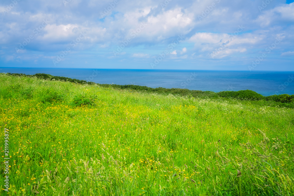 Green rural Cornish hillside meadow