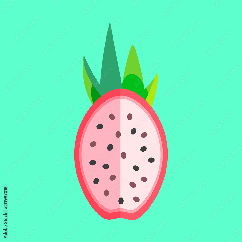 Dragon Fruit Halved Minimalism Art Vector