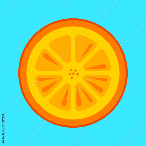 Orange Fruit Slice Vector